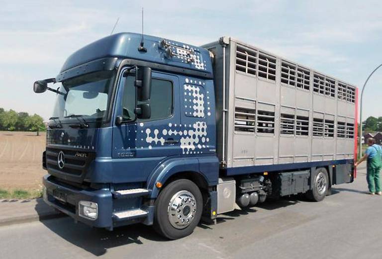 Перевозка коровы автотранспортом из Суворова в Добринку